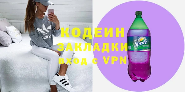 хмурый Кодинск