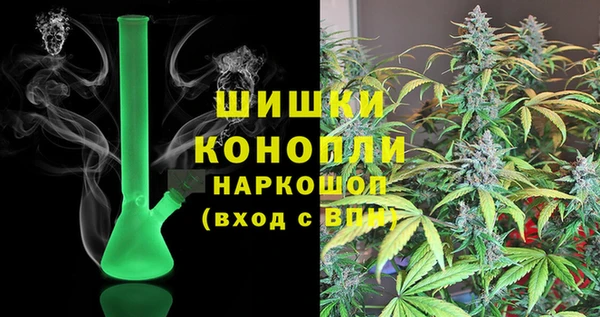 крисы Козловка