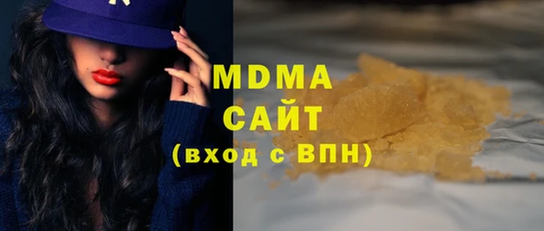 индика Ельня