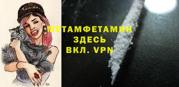 прущие грибы Рославль