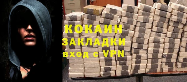крисы Козловка