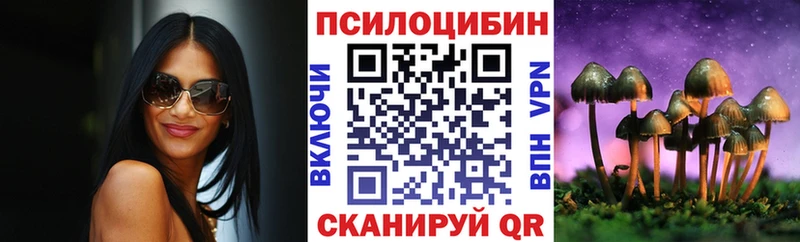 кракен ССЫЛКА  Свободный  Псилоцибиновые грибы прущие грибы  купить закладку 