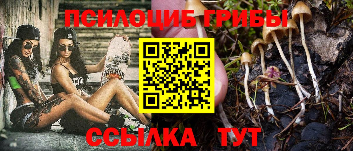 Свободный  даркнет сайт  Вход с VPN  Галлюциногенные грибы мухоморы 